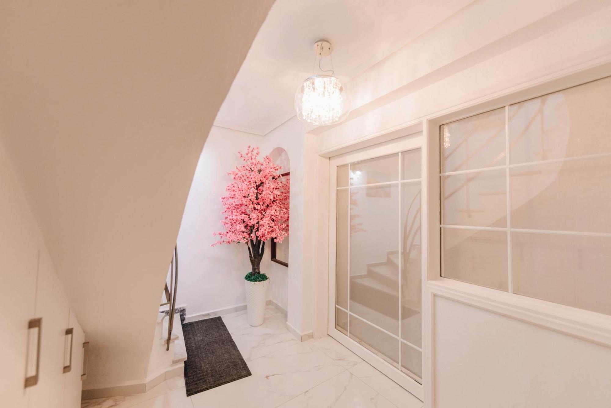 Sunrise Guesthouse Agria Exterior photo
